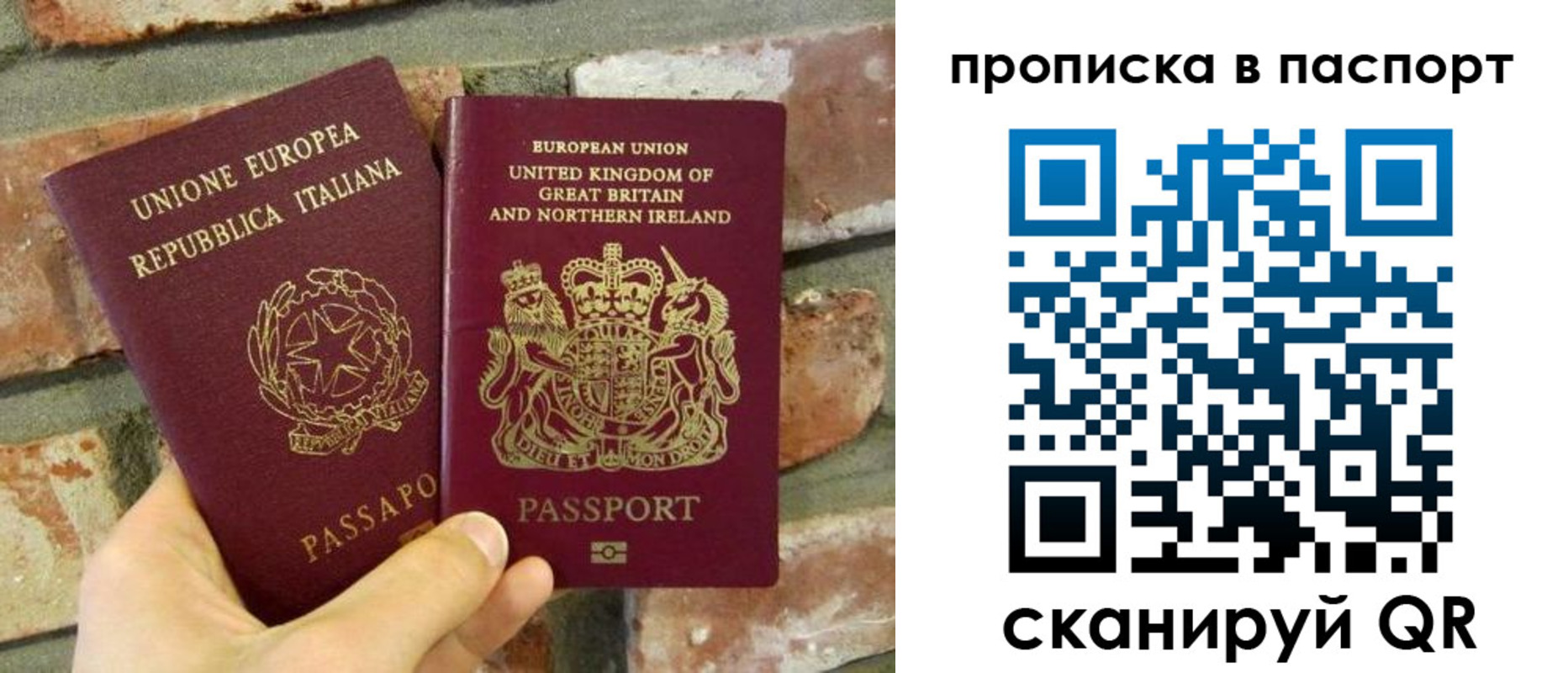 прописка в Химках