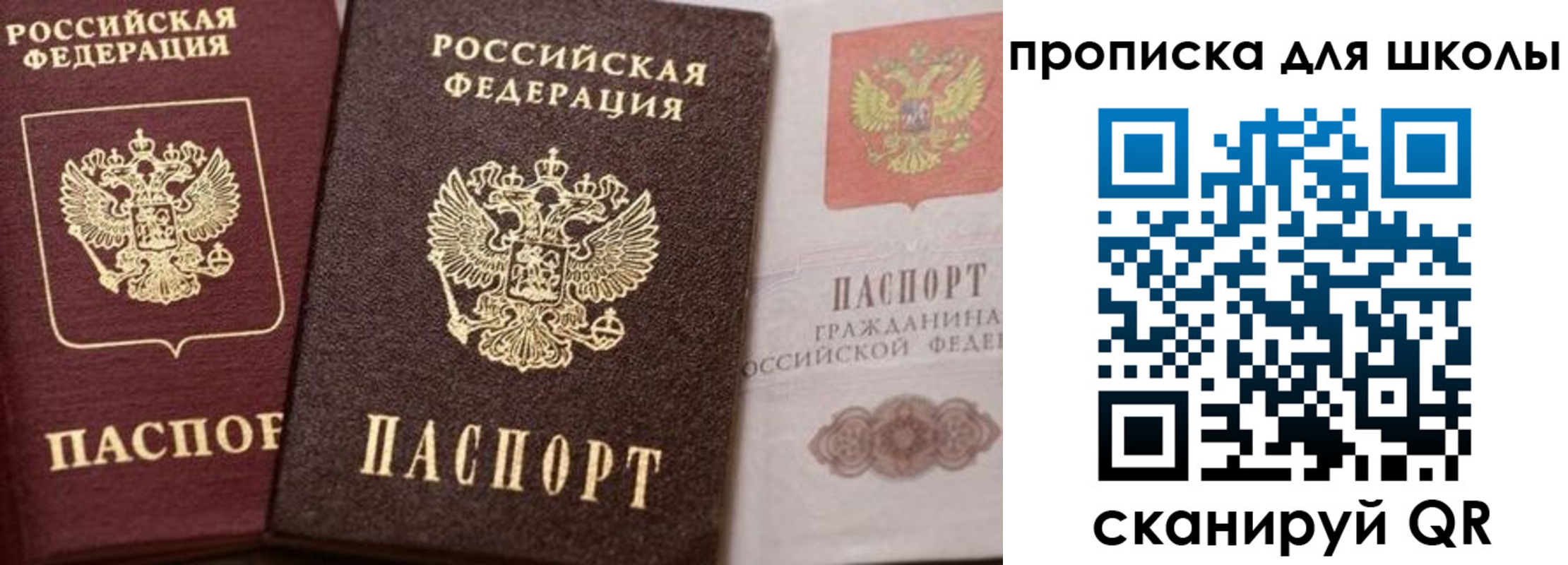 прописка законно в Химках